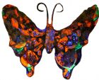 Butterfly 3